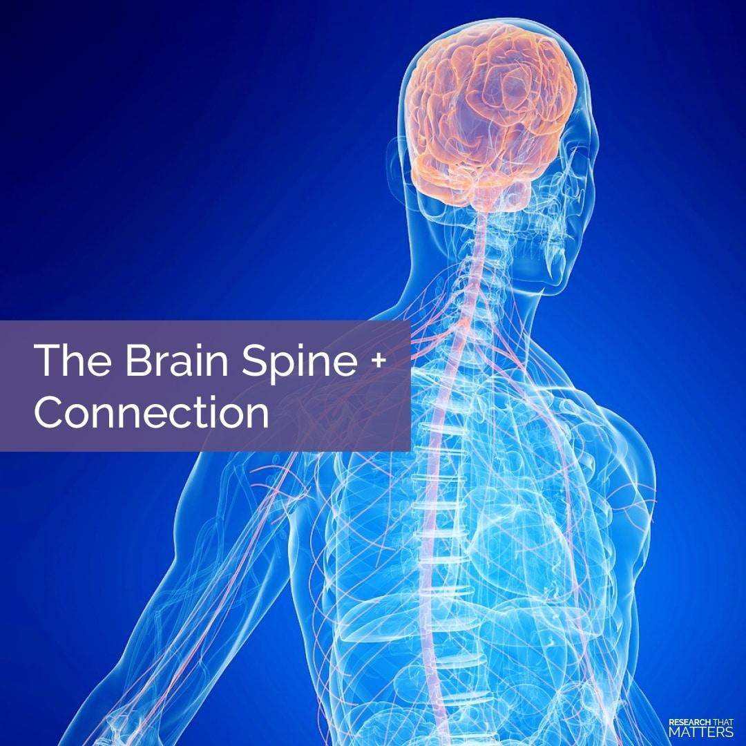 THE BRAIN + SPINE CONNECTION